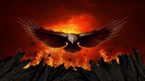 fire eagle wallpaper|best 4k eagle pics.